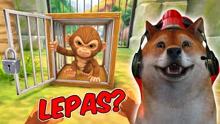 Download lagu APAKAH OBIT BISA BEBAS DARI KADANG INI? - I Am Monkey #2 mp3