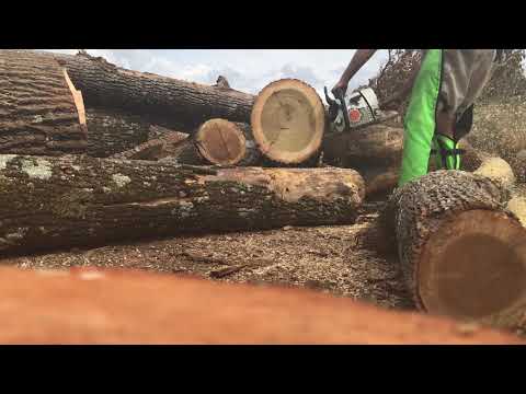 Stihl MS361 25” square ground