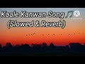 Kaale Kaava Song |Slowed and Reverb🎶| Lofi Music 🎧