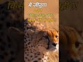 Mai Jeetunga Motivationalshayari Shorts Youtubeshorts