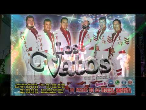LOS VATOS DEL RANCHO FT ALVARO MONTERRUBIO 2015 ARRINCONAMELA