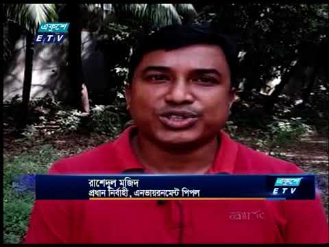 রোহিঙ্গা জনগোষ্ঠির চাপে বন্য হাতি বিপন্ন