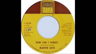 Marvin Gaye -  How can i forget