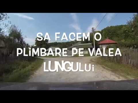 Valea Loznei-Pe Valea Lungului in sus