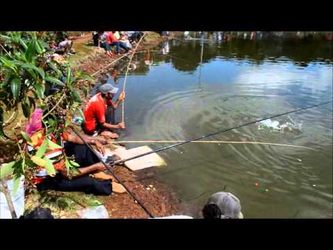Pesca em Borrazopolis (HD)