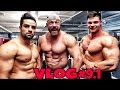 18kg MASSE zugelegt! Formcheck mit goeerki & Smartgains - VLOG #9.1