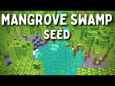 BEDROCK Mangrove Swamp Seed MINECRAFT 1.19! (Best Minecraft 1.19 Seeds)
