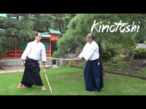 Introduction to Chiba Sensei's Weapons System - Kiriotoshi