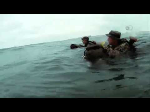 Surviving the Cut- The Longest Day