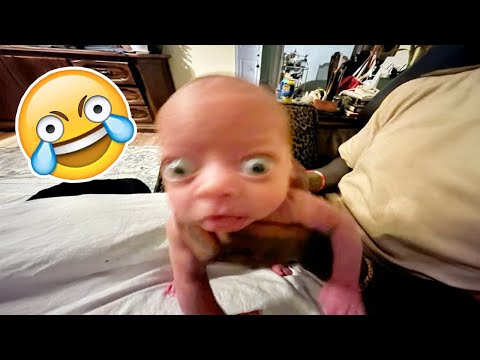 TRY NOT TO LAUGH SUPREME Level😯🤣[999.99 IMPOSSIBLE]😱 Best Funny Memes and Videos 2025 😂