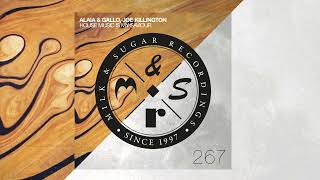 Music video thumbnail preview for Alaia \u0026 Gallo \u0026 Joe Killington - House Music Is My Saviour by Milk & Sugar