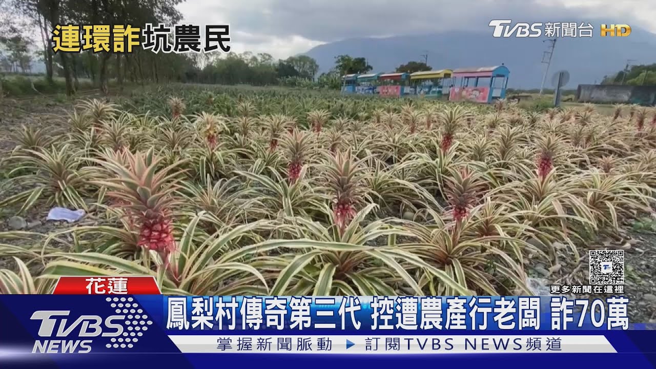 鳳梨村傳奇三代慘!控遭詐70萬討不回 追債反被告判刑20天