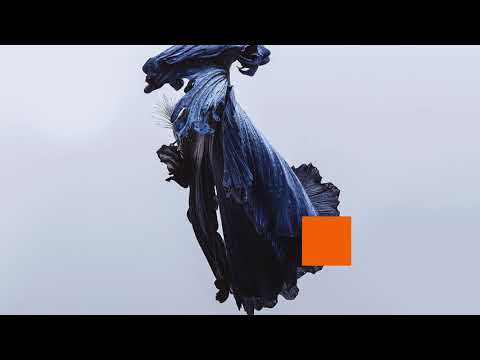 Video thumbnail for Boy Was I Wrong