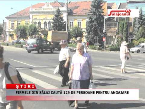 FERMELE DIN SALAJ CAUTA 129 DE PERSOANE PENTRU ANGAJARE