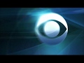 Panda Productions CBS Television Studios CBS Television Distribution 2014