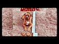 HOOD5 - NINE7ONE