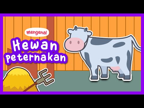 Belajar Kosakata: Nama-Nama Hewan Ternak (Mengenal Nama Hewan dan Suaranya) – Yufid Kids