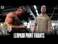 Leopard Print Fridays | Full Arm Workout with Tips