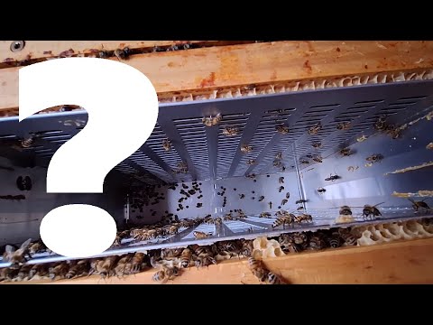 12/18/30 Überraschung Tag30 - Nichts läuft immer planmäßig !