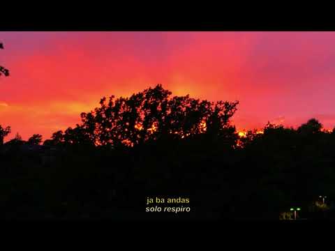 Zoe Lobos - Bättre Med Åren (lyric video)