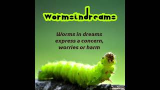 #Worms in #dreams