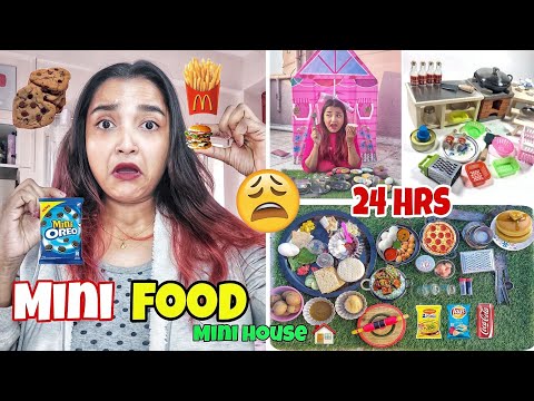 I ate MINI FOOD for 24 Hours Challenge - MINIATURE Cooking Using Mini Things - Food Challenge INDIA