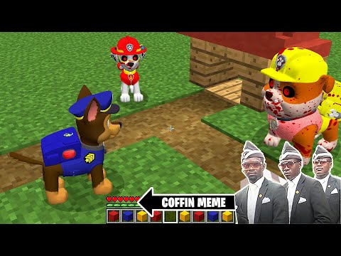 The Smallest PAW PATROL.EXE in Minecraft