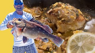 SNOWY Grouper Catch and Cook