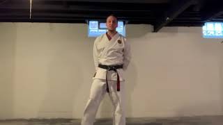 4/2/20:  CRANES (WHITE)