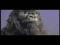 Cadbury Gorilla - In The Air Tonight (Extended Mix ...