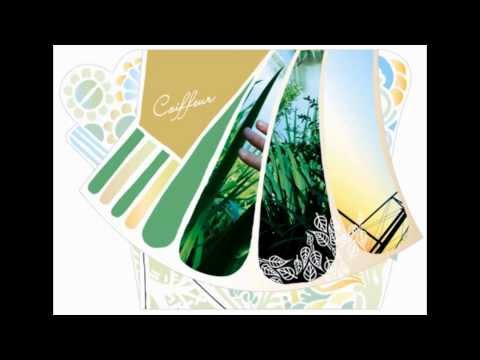 06. Tan atentos a que nada - Coiffeur