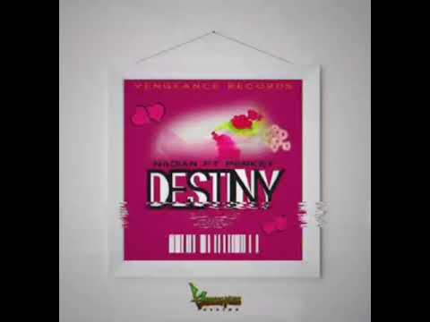 Nadian Ft Perky - Destiny