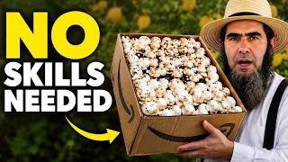 Grow Mushrooms in a Cardboard Box—No Experience Needed
