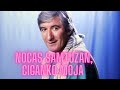 Noćas sam tužan, o ciganko moja - Toma Zdravković Official Lyrics Video