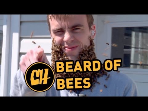 1 Million Facebook Likes = ONE GIANT BEE BEARD