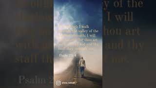 Psalm 23: 4Yea, though I walk through the valley of the shadow of death, I will fear no evil: for .