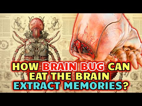 Brain Bug Anatomy - How Brain Bug Can Eat His Victim's Brains And Extract The Memories From It?