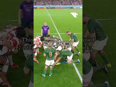 The rugby scrum #rugby #scrum