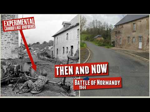 Panzer Picture and Track Links 360