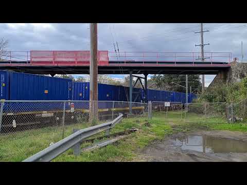 export grain from Canada on board the manildra train bound for Nowra at unanderra
