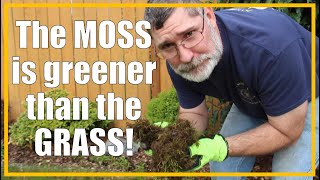 KILL the Moss in your Lawn! | Easy Removal in just a FEW days! | 2021/27