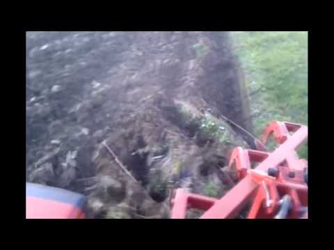 294.DEČKI ŽUTNICE - Oranje trobraznim