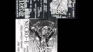 Necro-E-Outro-Decaying the Rain