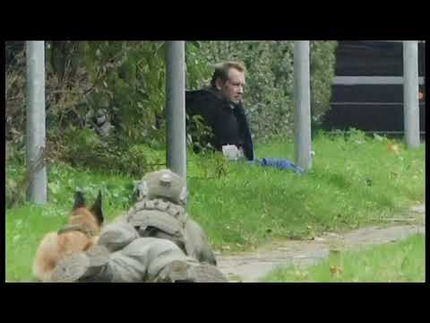 Peter Madsen surrounded after prison break attempt (2) (Denmark) - BBC News - 20th October 2020