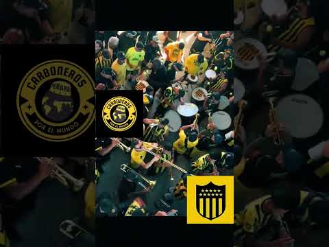 "siempre Peñarol " Barra: Barra Amsterdam &bull; Club: Peñarol
