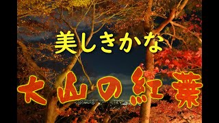 【 旅動画 】伊勢原の大山で紅葉狩りじゃ！