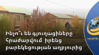 Գյուղացին աստիճանաբար հրաժարվում է երբեմնի եկամտաբեր բերքատու ծառերից