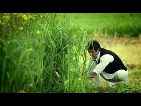 B.a fail by preet harpal