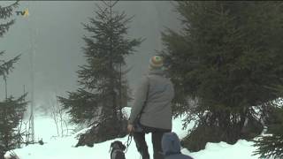 preview picture of video 'Christbaum frisch aus dem Wald: In Pfronten können sich Gäste ihren Weihnachtsbaum selber holen'