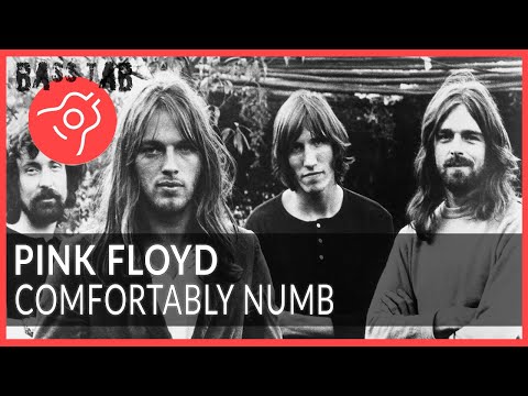 Comfortably Numb - Pink Floyd (BASS COVER With Tab & Notation)